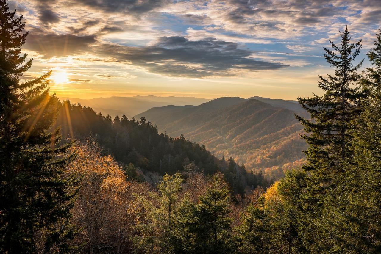 Pine Tree Lodge, 8 Bedrooms, Pool Table, Theater, Hot Tub, WiFi, Sleeps 38 Gatlinburg Buitenkant foto
